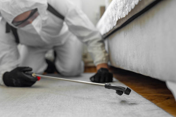 Professional Bed Bug Control technician working in Brown Station, MD