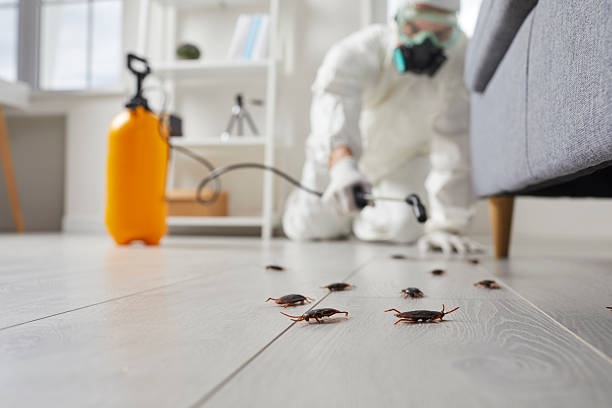 Trusted Termite Control service in Brown Station, MD - Nex Pest Control