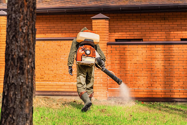 Trusted Bed Bug Control service in Brown Station, MD - Nex Pest Control